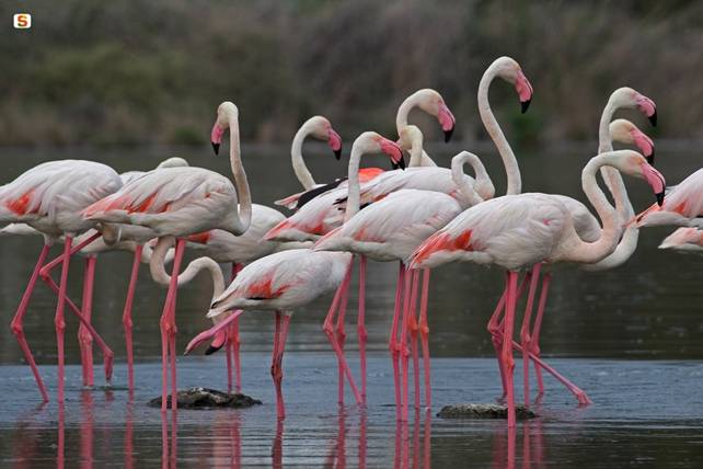 Cagliari – Un parco in ogni stagione