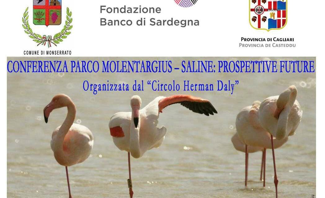 Cagliari – Il parco Molentargius-Saline: Prospettive Future