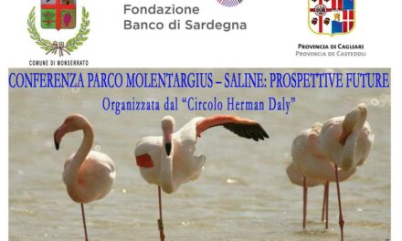 Cagliari – Il parco Molentargius-Saline: Prospettive Future