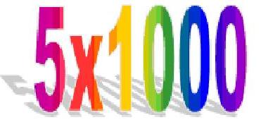 5×1000 degli anni 2006-2009