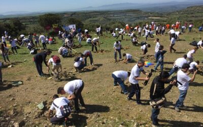 500 persone hanno ripiantato i fichidindia a Su Piroi