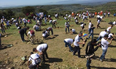 500 persone hanno ripiantato i fichidindia a Su Piroi