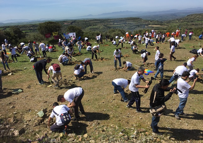 500 persone hanno ripiantato i fichidindia a Su Piroi