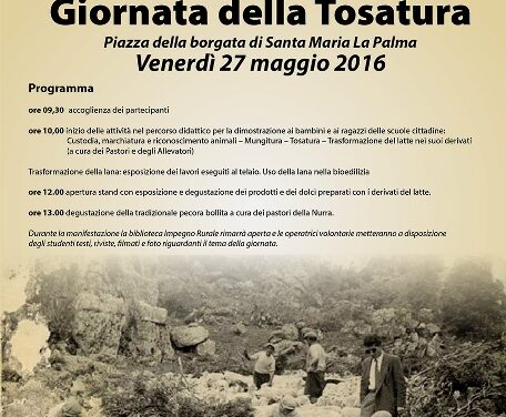 Santa Maria La Palma – festa della Tosatura