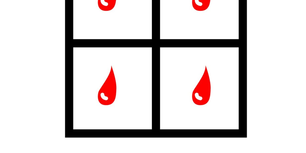 Thalassemia ti conosco, non ti temo