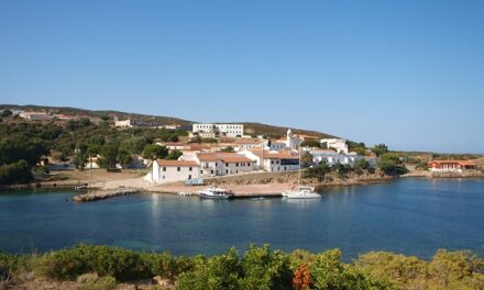 Asinara, una inedita settimana di servizio e di formazione