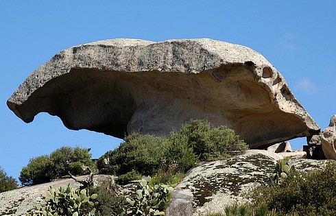 Arzachena – Giornata del Volontariato