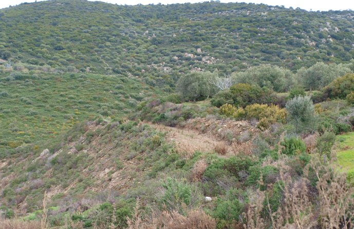 Capoterra – Giornata dell’Albero