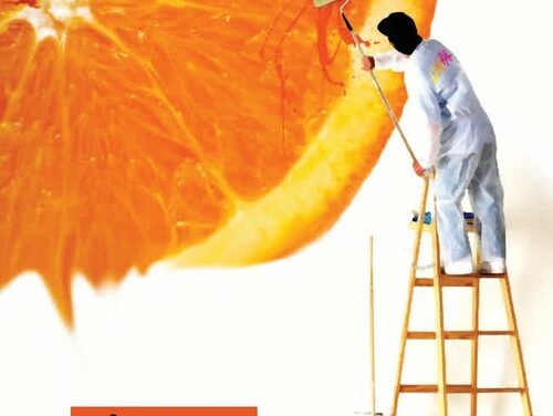 E!state Liberi! 2013 – Campi di volontariato sui beni confiscati