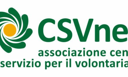 Roma – Gruppi di lavoro e Consiglio direttivo CSVnet