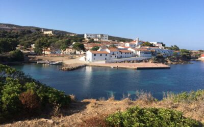 Cala D’Oliva, Asinara – Avviati i campi di volontariato e formazione. Aperto il bunker di Cala D’Oliva