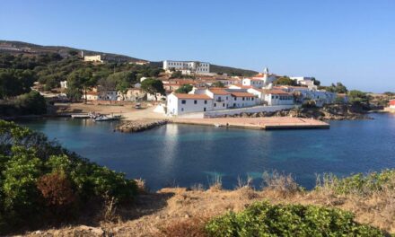 Cala D’Oliva, Asinara – Avviati i campi di volontariato e formazione. Aperto il bunker di Cala D’Oliva