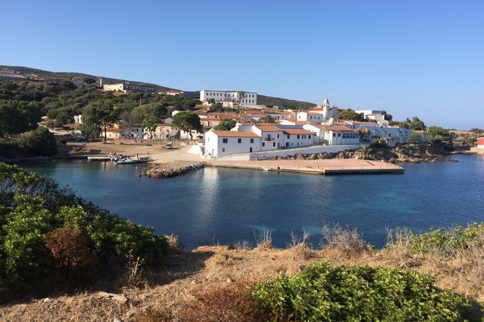 Cala D’Oliva, Asinara – Avviati i campi di volontariato e formazione. Aperto il bunker di Cala D’Oliva