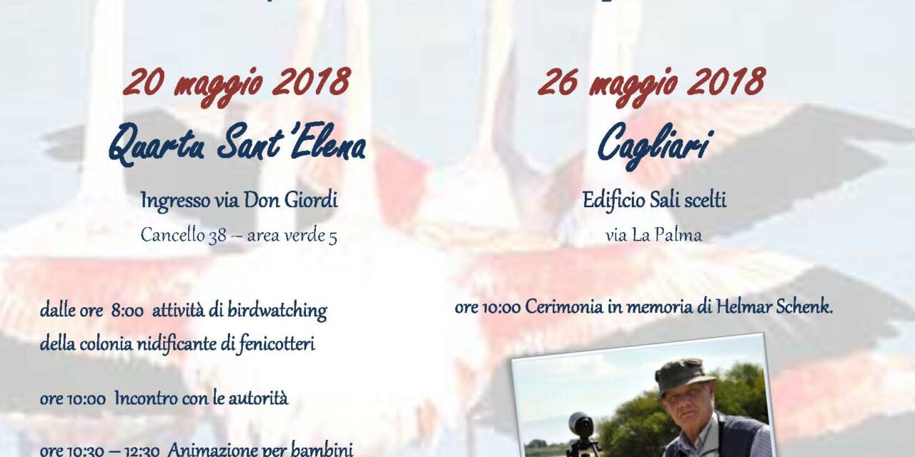 Gent’arrubia a Molentargius – Festa dei 25 anni di nidificazione