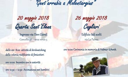 Gent’arrubia a Molentargius – Festa dei 25 anni di nidificazione