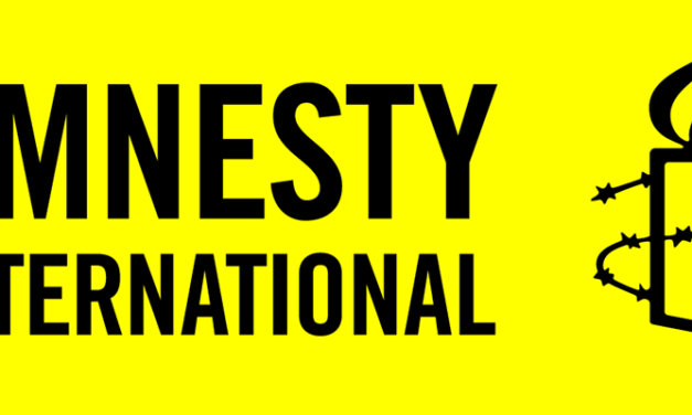 I Campi di volontariato “Amnesty Summer Lab”