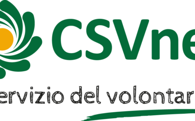 Roma – Consiglio direttivo CSVnet