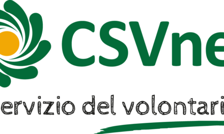Roma – Consiglio direttivo CSVnet
