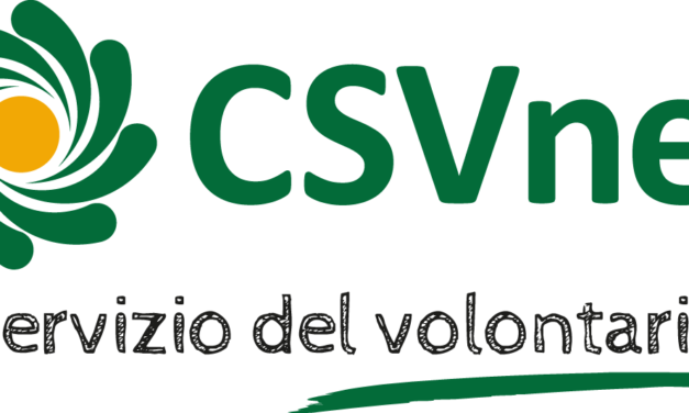 Roma – Consiglio direttivo CSVnet