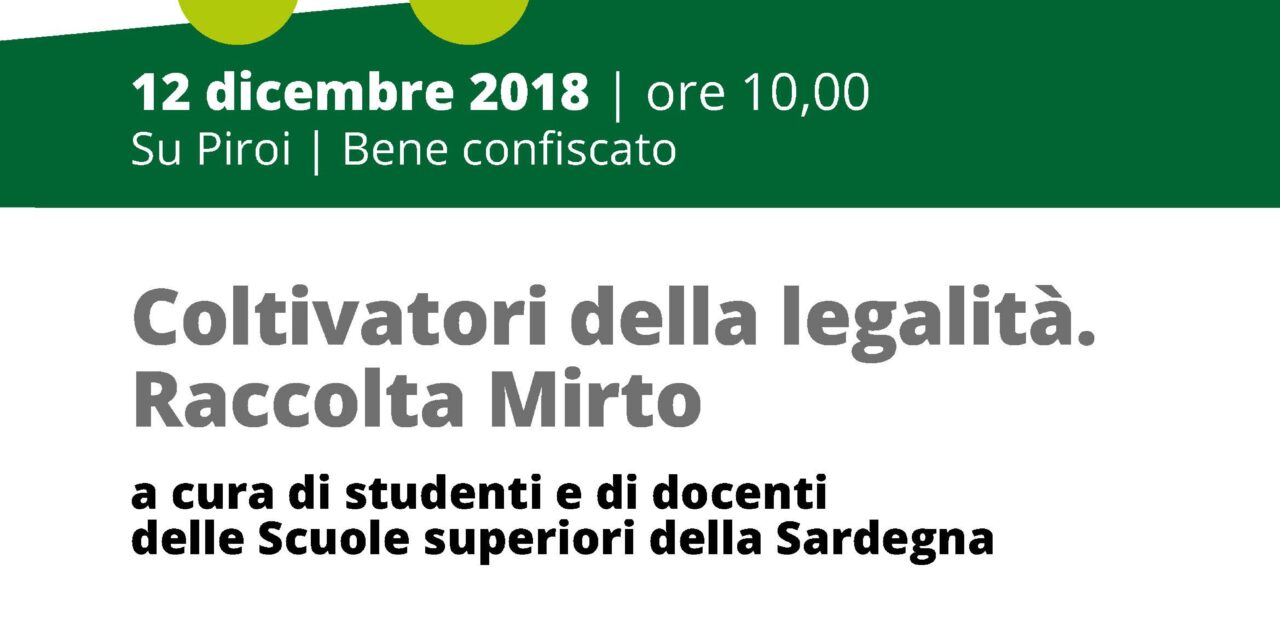 Gergei Su Piroi – I coltivatori della legalità. Raccolta del Mirto