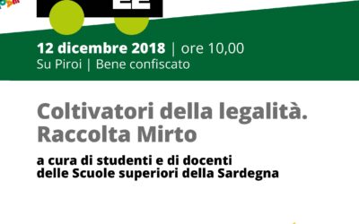 Gergei Su Piroi – I coltivatori della legalità. Raccolta del Mirto