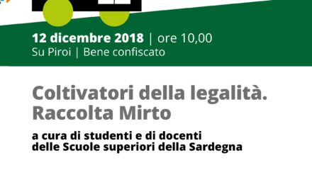 Gergei Su Piroi – I coltivatori della legalità. Raccolta del Mirto