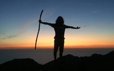 Il futuro dell’ambiente è futuro per tutti. Ricerca promossa dal CSV Sardegna Solidale