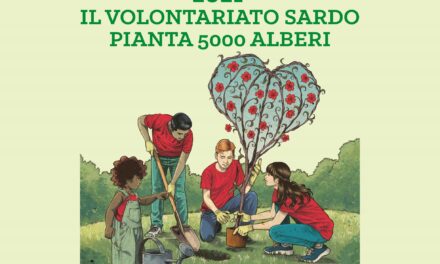 BITTI – PIANTA UN ALBERO: E’ UN GESTO D’AMORE