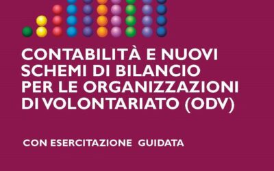 CONTABILITA’ E SCHEMI DI BILANCIO PER ODV E APS