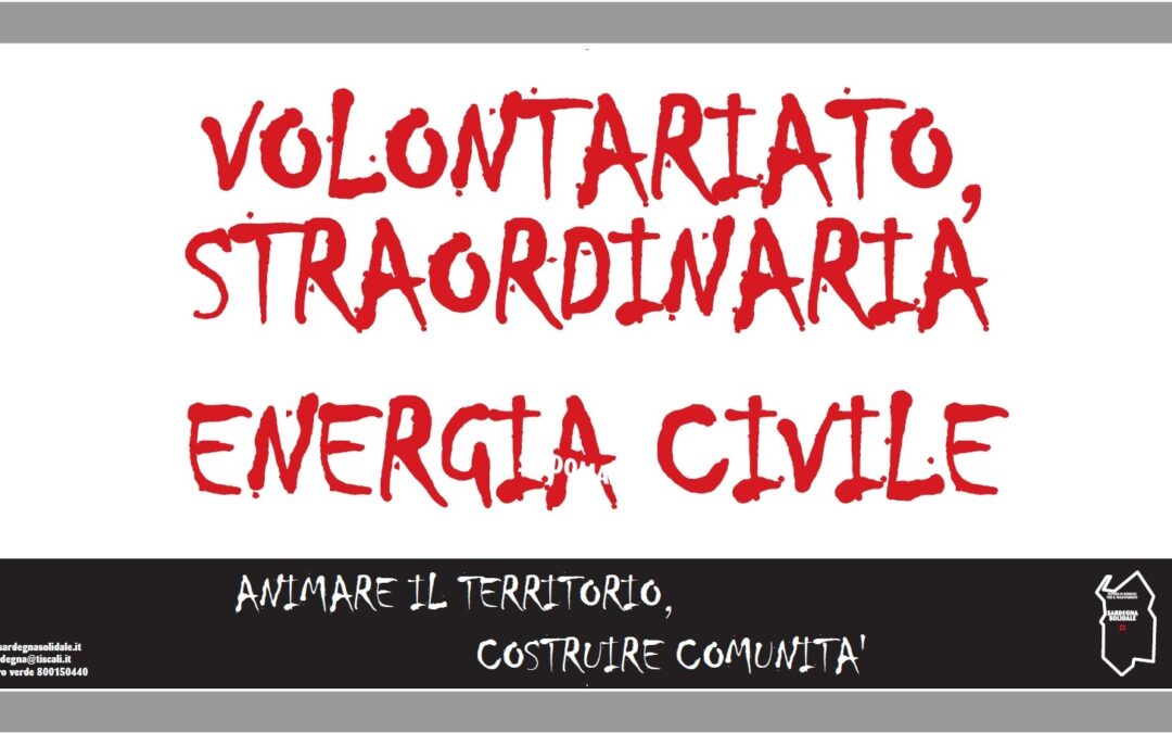 Volontariato, straordinaria energia civile. Animare il territorio, Costruire comunità