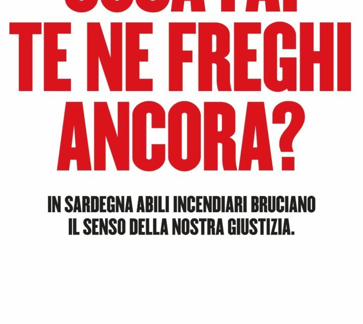 CHI VUOLE MALE A SARDEGNA SOLIDALE?